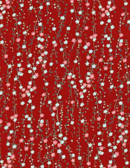 Cherry branch on red paper