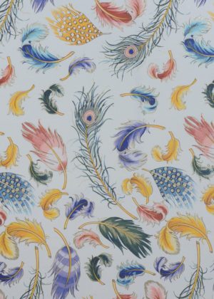 Colorful feathers on decorative paper