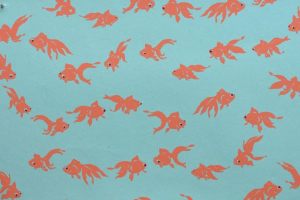 Goldfish on Blue paper
